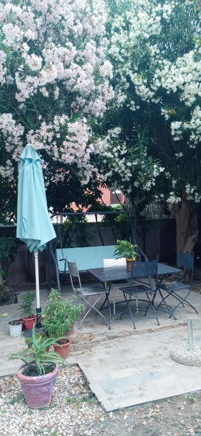 Gli Oleandri Villa Livorno Bagian luar foto